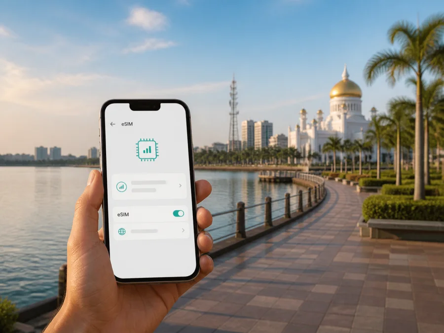Datastream Digital eSIM في بروناي دار السلام: التفعيل