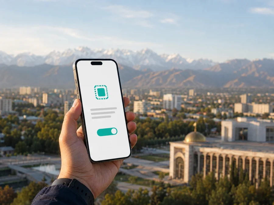 Nexi eSIM في قيرغيزستان: ما الذي يجب التحقق منه