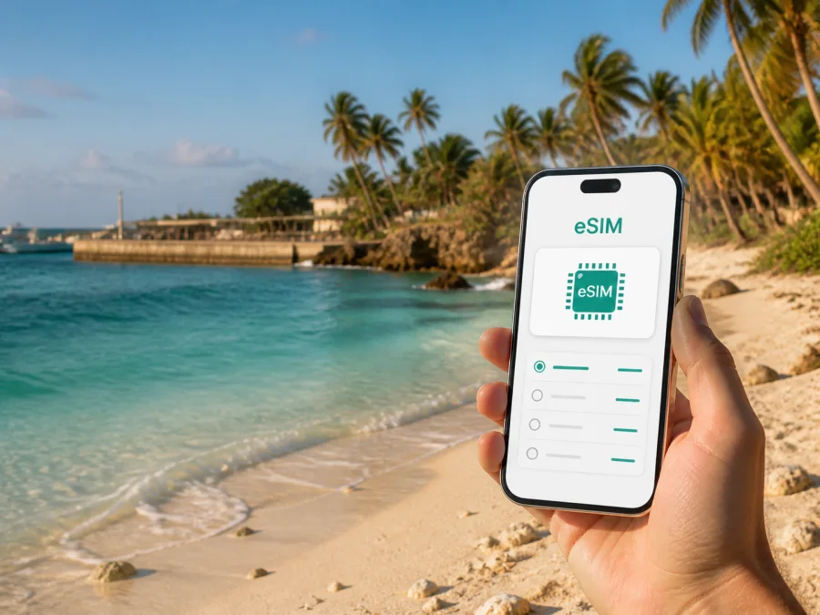 eSIM في أنيبار: إنترنت محمول أثناء السفر
