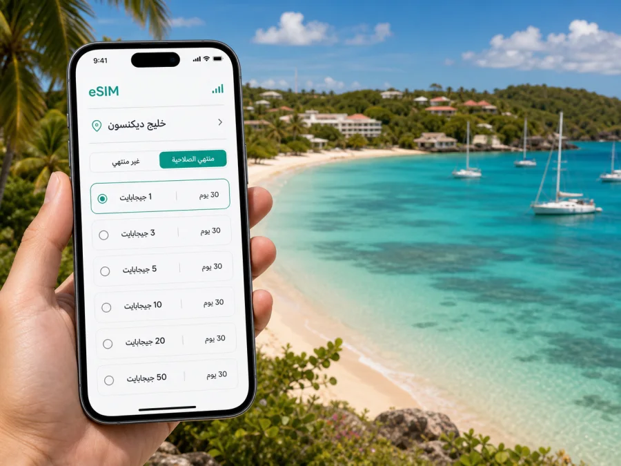 eSIM في خليج ديكنسون للإنترنت أثناء السفر