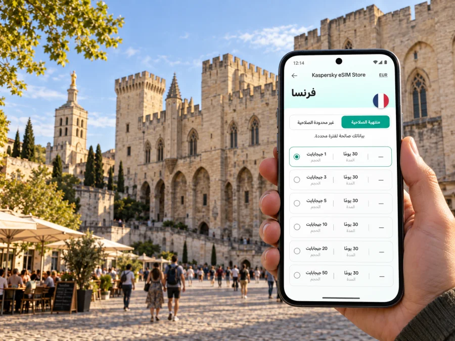 إنترنت وeSIM في أفينيون: دليل المسافر
