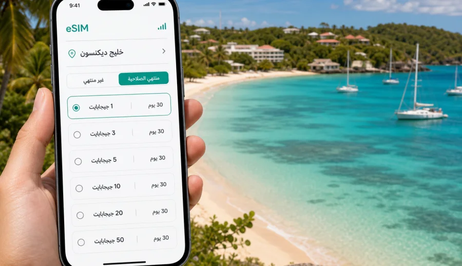 eSIM في خليج ديكنسون للإنترنت أثناء السفر