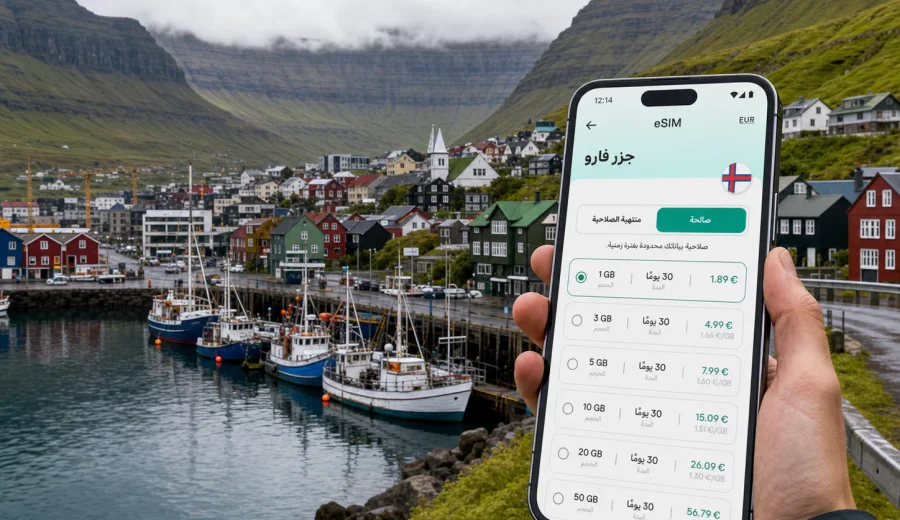 eSIM في فوجلافجوردور: إنترنت السفر
