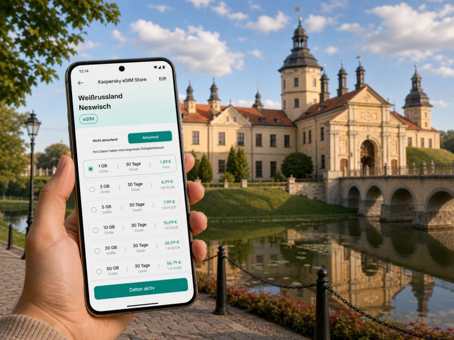 Neswisch eSIM: Internet für die Reise