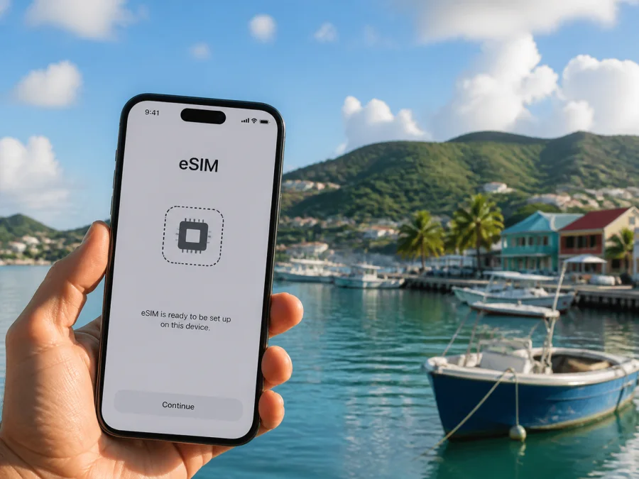 Dauphin Telecom eSIM in Saint Barthelemy