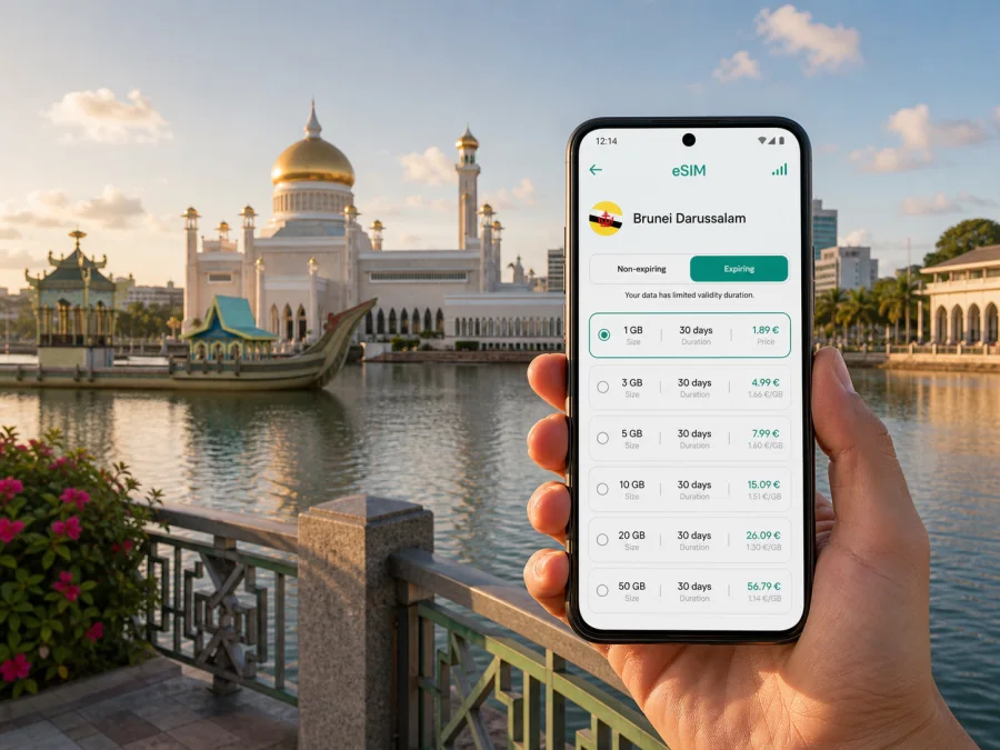 Bandar Seri Begawan eSIM for city travel