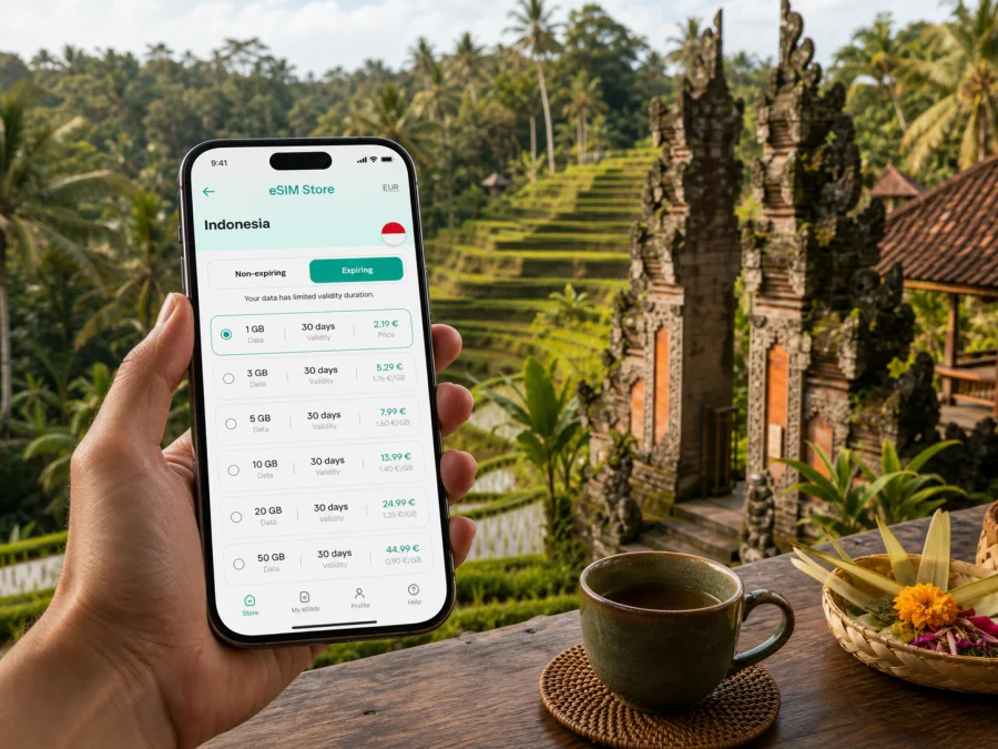 Ubud eSIM: mobile internet for Bali travel