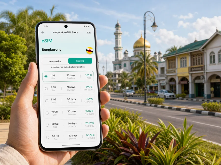 Sengkurong eSIM for Travel Internet