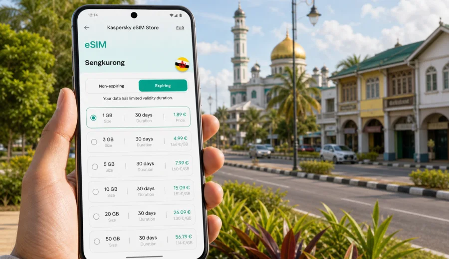 Sengkurong eSIM for Travel Internet