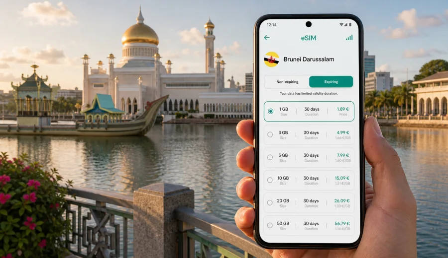 Bandar Seri Begawan eSIM for city travel