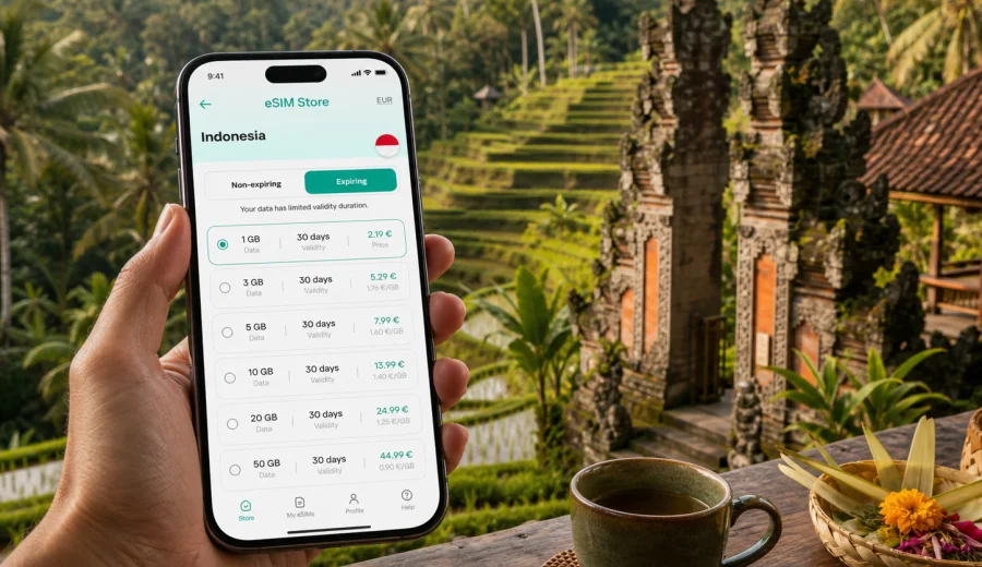 Ubud eSIM: mobile internet for Bali travel