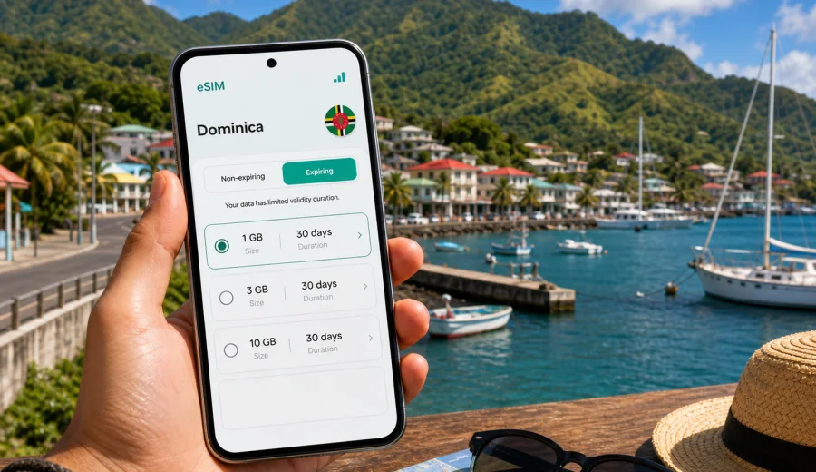 Portsmouth eSIM: Internet for Dominica Travel
