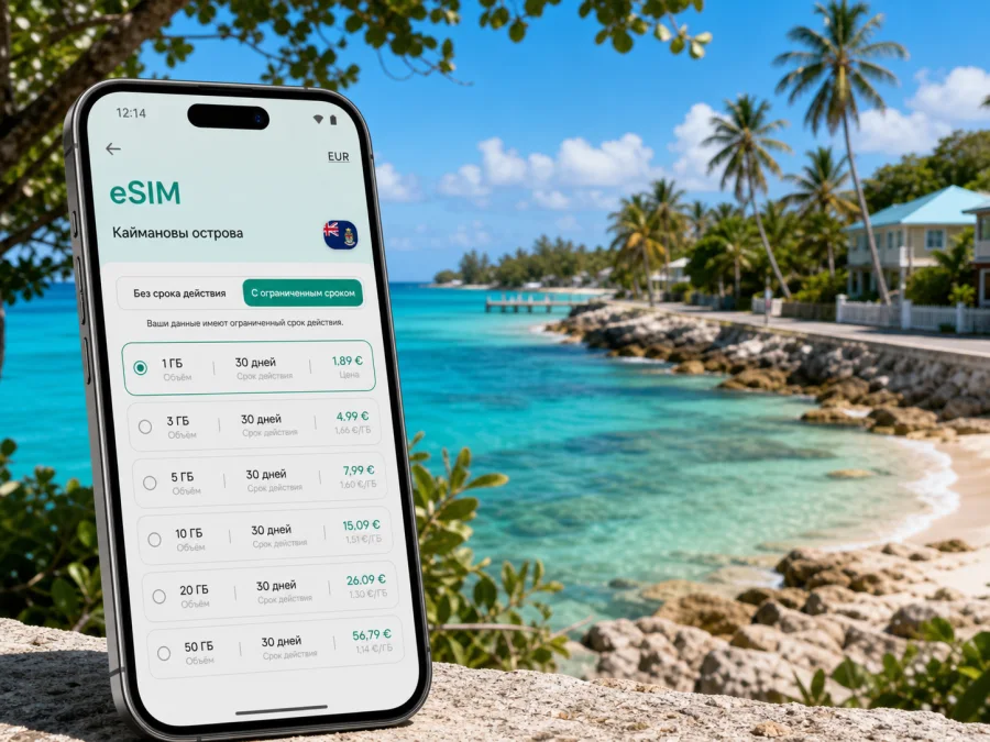 Норт-Сайд eSIM: интернет в поездке