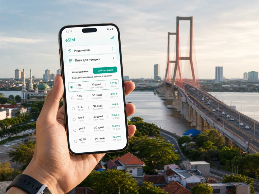 Сурабая eSIM: интернет и связь в поездке