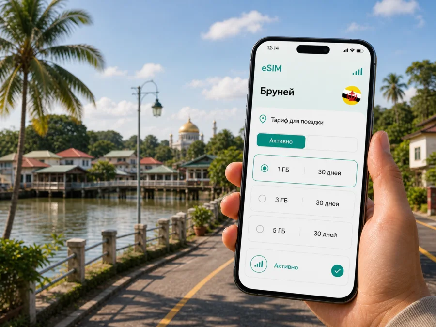 Тутонг eSIM: интернет и связь в поездке