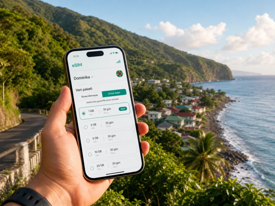 Castle Bruce eSIM: mobil internet rehberi