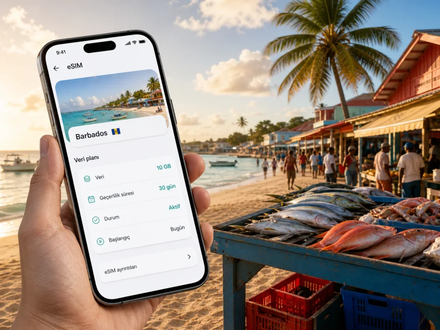 Oistins eSIM: mobil internet rehberi