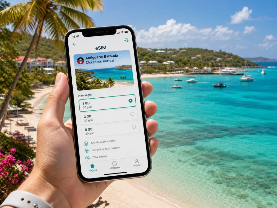 Dickenson Körfezi eSIM: mobil internet rehberi