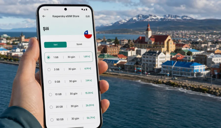 Punta Arenas eSIM: mobil internet rehberi