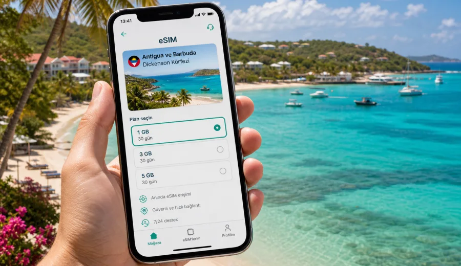 Dickenson Körfezi eSIM: mobil internet rehberi