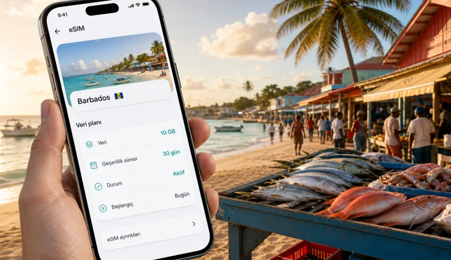Oistins eSIM: mobil internet rehberi